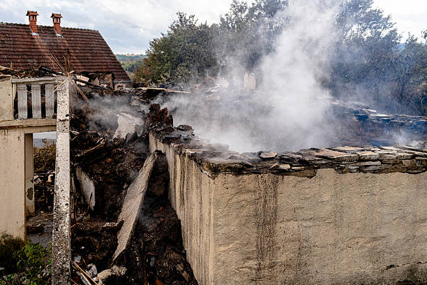 Reliable Content Restoration contractor in Tampa, FL by Fire Damage Biloxi