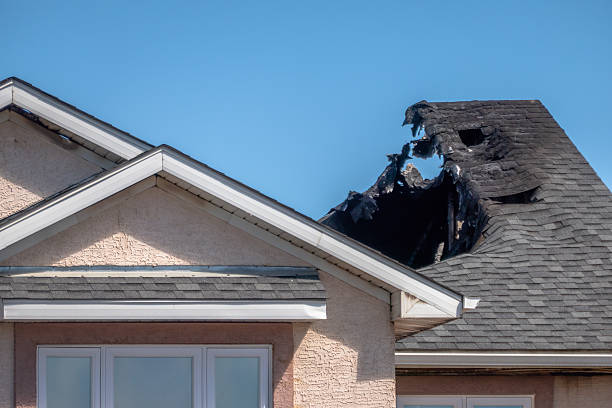 Licensed Content Restoration service in Tampa, FL - Fire Damage Biloxi